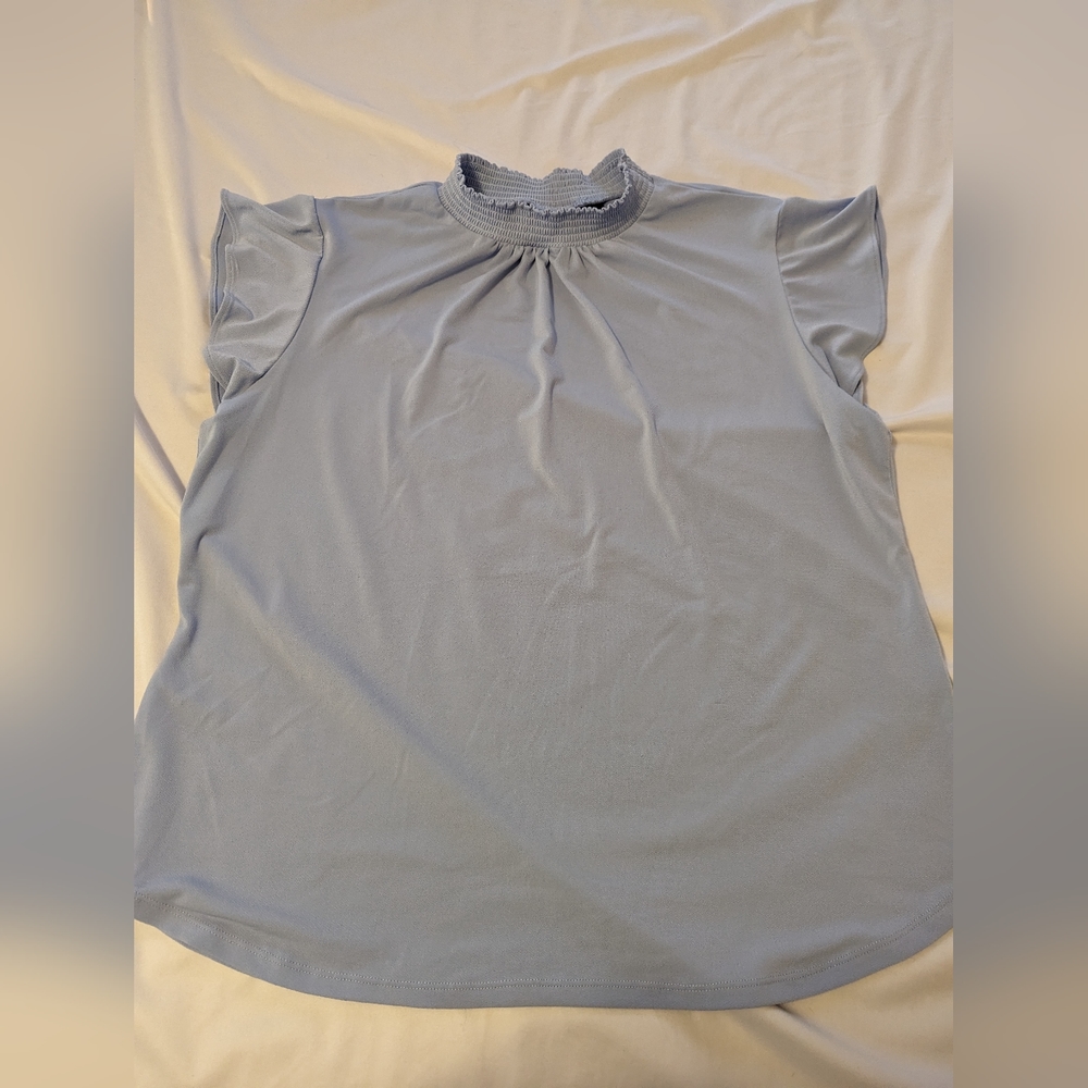 Butterfly sleeve sky blue top